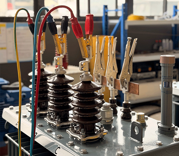 Sri Lanka's 10kVA Oil-Immersed Transformer Project